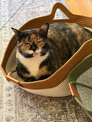 Foto von Laura W.