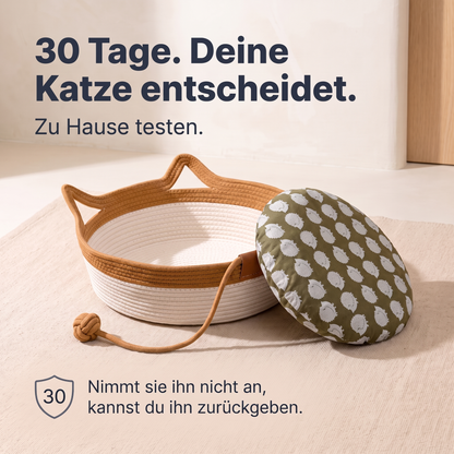 The Territory Basket