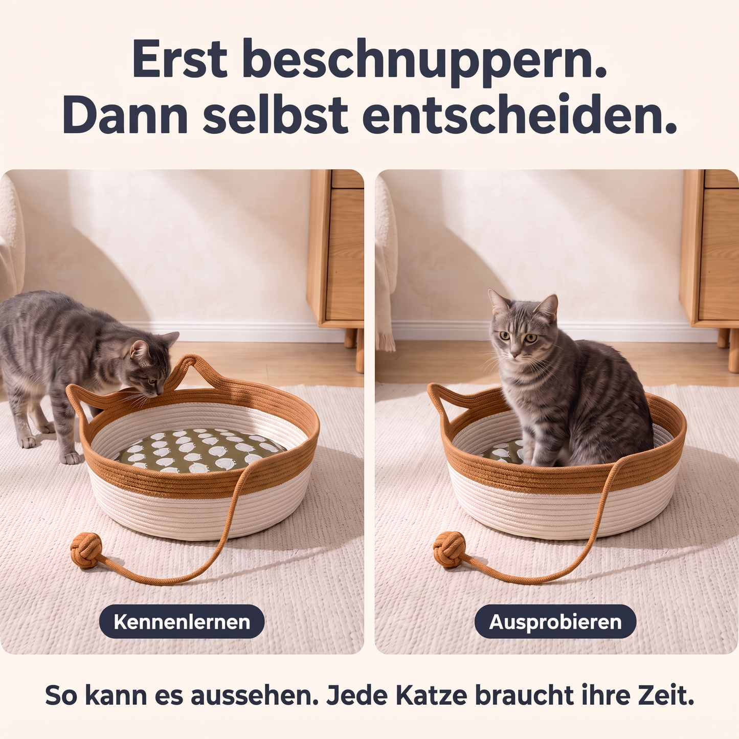 The Territory Basket