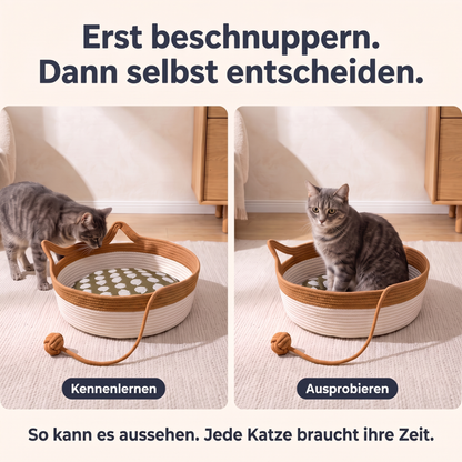 The Territory Basket