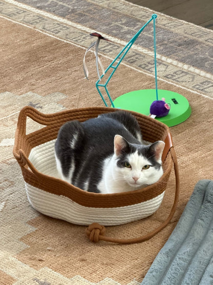 The Territory Basket